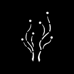 PN3317 150