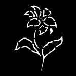PN4121 150
