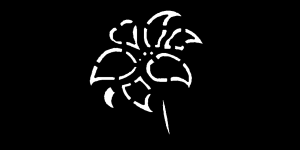 PN4525 150